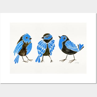 finches blue Posters and Art